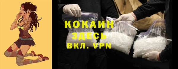 твердый Аркадак