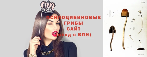 spice Балахна