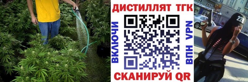 ТГК концентрат Козловка