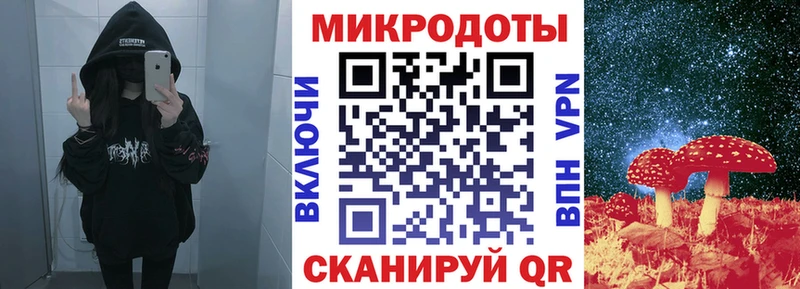 Псилоцибиновые грибы Psilocybine cubensis  Купить где  Козловка 